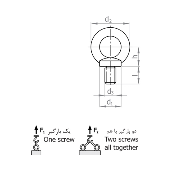 Picture of LIFTING EYEBOLT E205