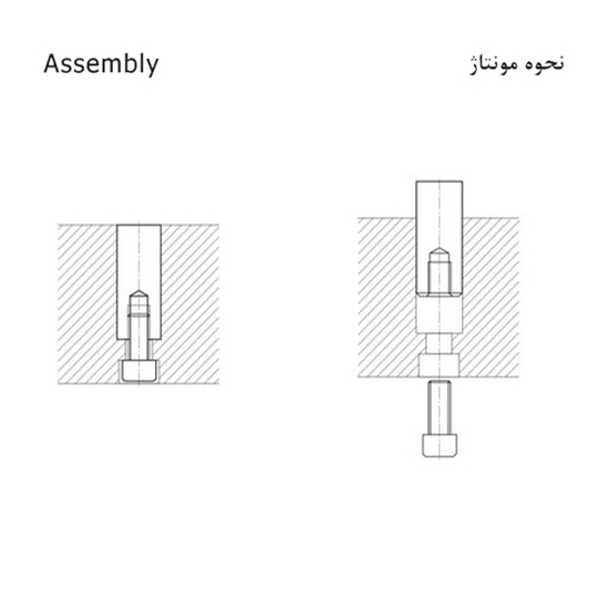 تصویر اینسرت تاریخ زن D481