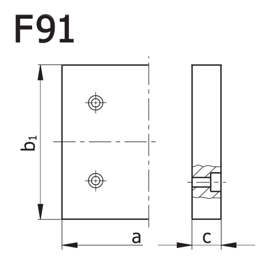 Picture of Plate F91