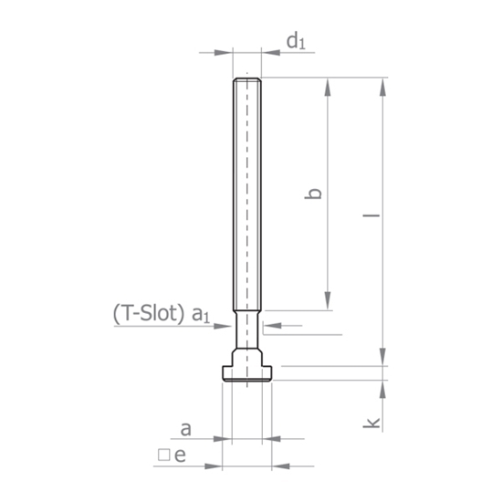 Picture of BOLT FOR T-SLOT E405