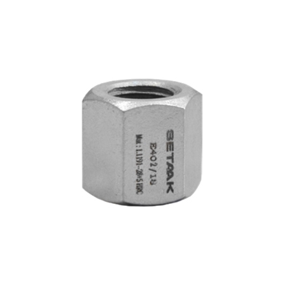 Picture of HEXAGON NUT E402