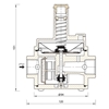 Picture of Gas Pressure Regulator | SET245