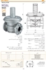 Picture of Gas Pressure Regulator | SET251